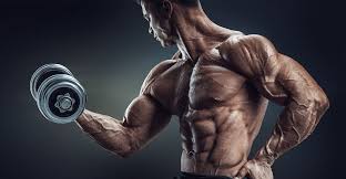 8 جلسه بدنسازی